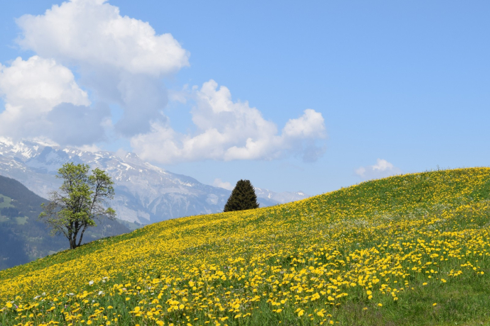 Randonnée au sommet de Surcuolm au Piz Mundaun (oua_50160818_image)