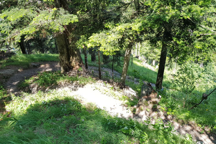 Trail entry Juchs