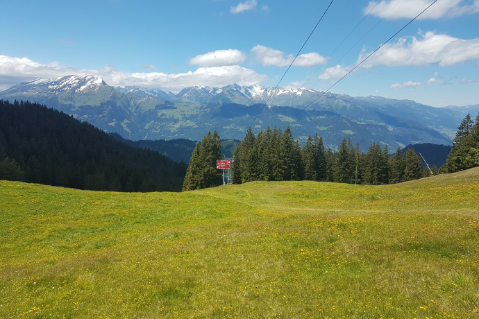 Aussicht Grüsch-Danusa