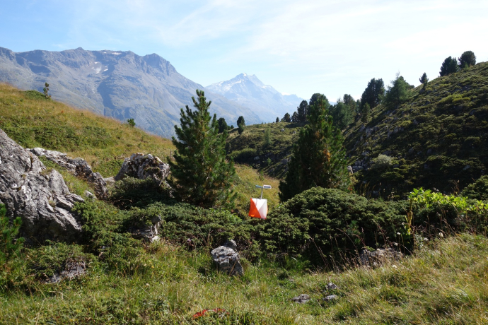 OL Posten auf Corviglia OL Posten auf Corviglia