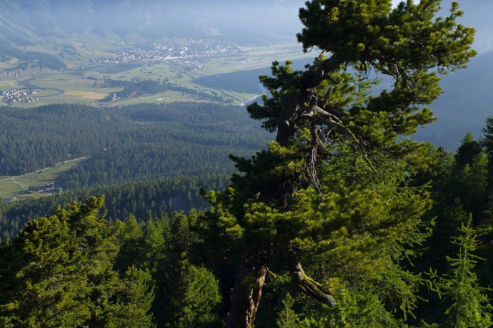 Muottas da Schlarigna