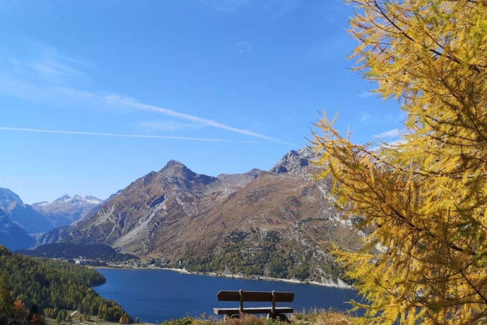 Maloja - Pet Preir - Sils – Isola - Maloja (oua_50937717_image)