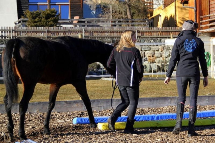EquiCoaching - personal Training für dein Pferd, Brigels (oua_51156535_image) EquiCoaching - personal Training für dein Pferd, Brigels (oua_51156535_image)