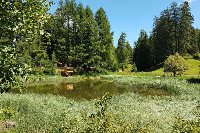 Esperienza nella natura Feldis - Elemento fuoco (oua_51480410_image)