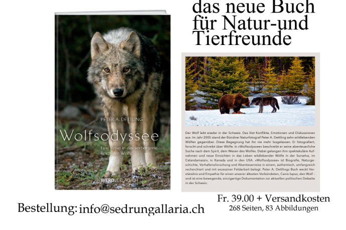 Das neue Buch Das neue Buch