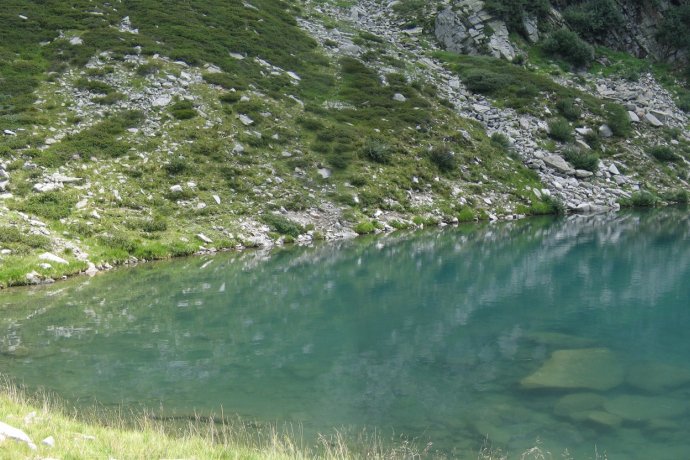 Trescolmen (oua_51747381_image)