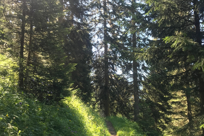 Via Engiadina stage 12: Tschlin – Vinadi [SwitzerlandMobility no. 87] (oua_52319490_image)