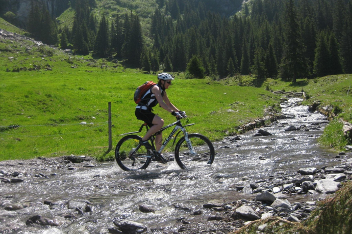 Stream crossing on Alp ober Precht