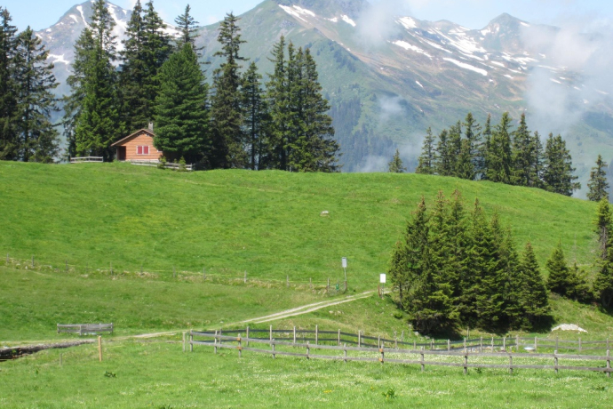 View from Alp ober Precht