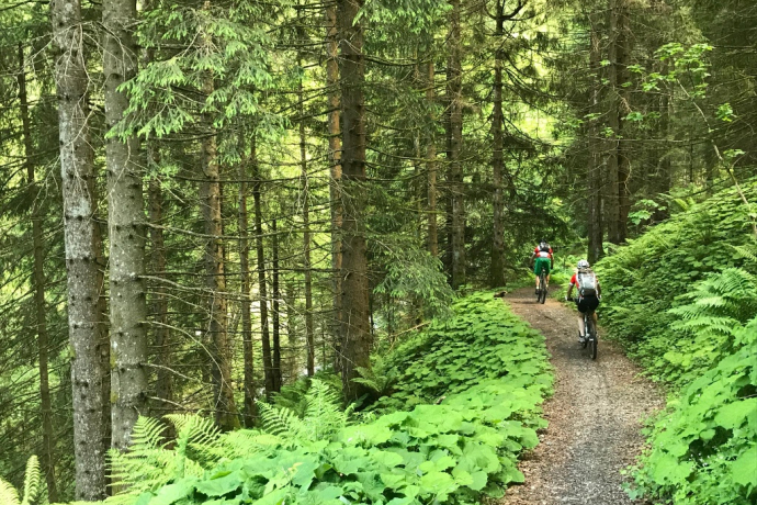 Wegabschnitt ins Valeis