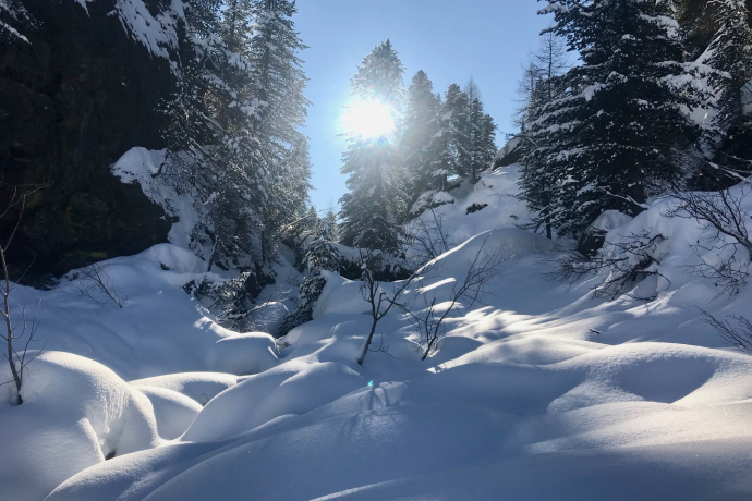 Maloja Palü (oua_54466123_image)