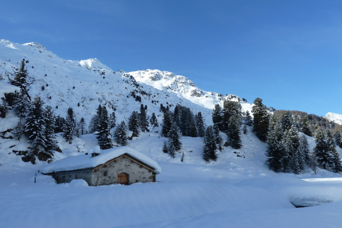 Snowshoe route Cavloc - Plan Canin (oua_54466269_image)