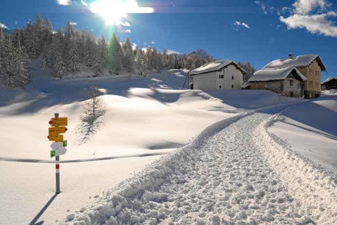 Maloja Cresta, Engadin, Graubünden, Switzerland