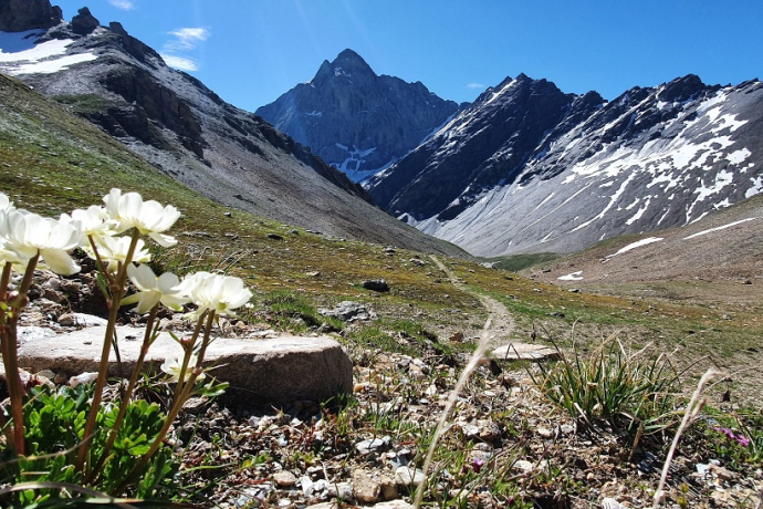 Radons - Tga / Val Faller (oua_54537848_image)