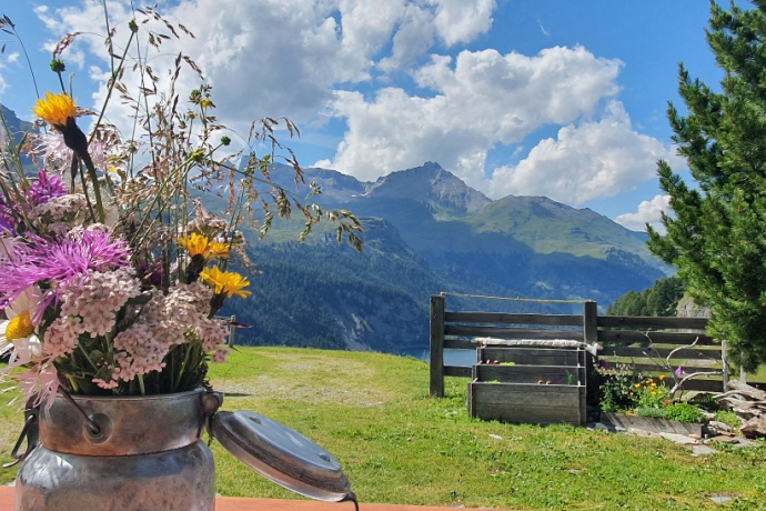 Bivio - Marmorera - Alp Natons (Kinderwagengerecht) (oua_54561422_image)