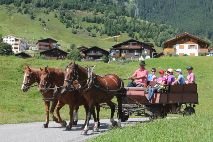 Kutschenfahrt im Sommer