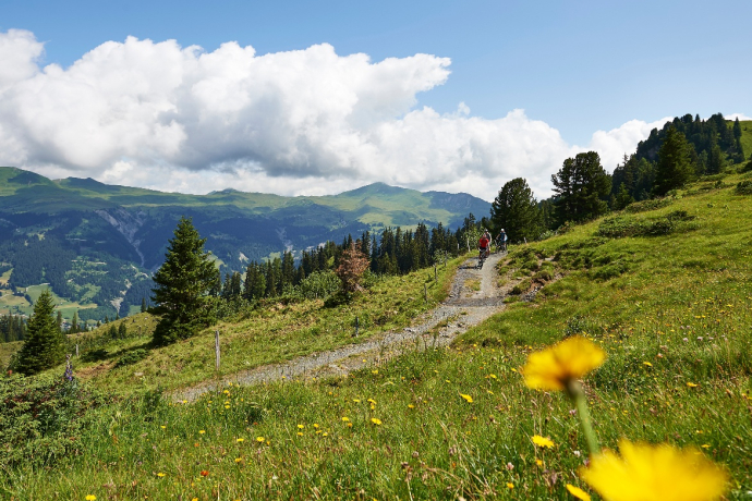 Arosa Lenzerheide Rundtour