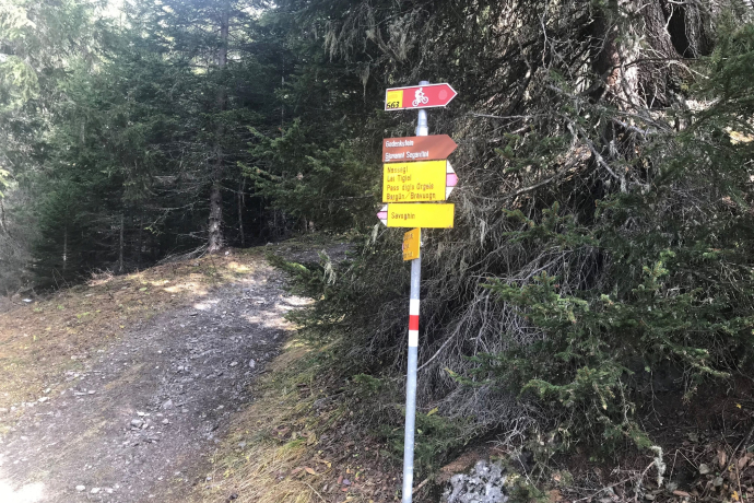 Réserve naturelle forestière La Niva parcours circulaire (oua_54757415_image)