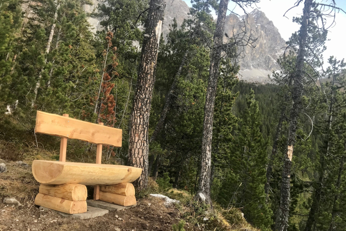 Réserve naturelle forestière La Niva parcours circulaire (oua_54757429_image)