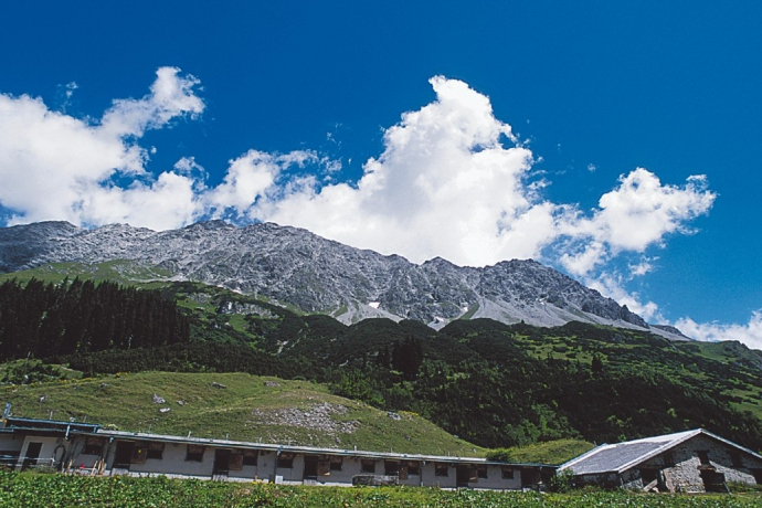 Hinter der Alp Vals trohnt die mächtige Schesaplana