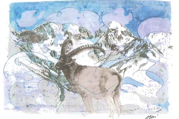 Galleria Roseg (oua_54883320_image)