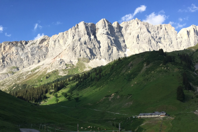 Grüscher Älpli unterhalb Drusenfluh