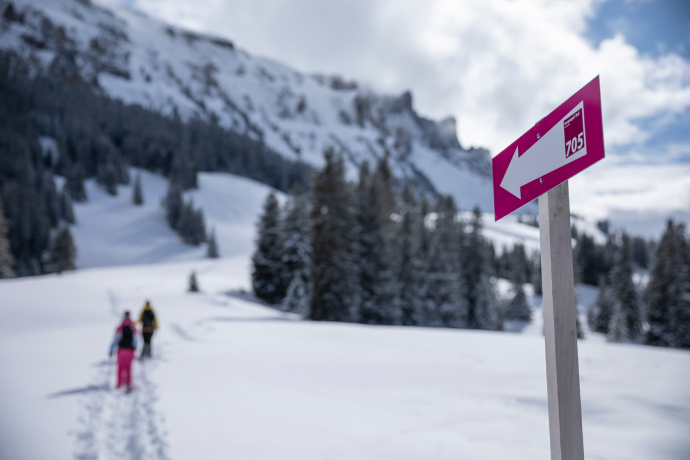 The signposted snowshoe trail Gampergalt