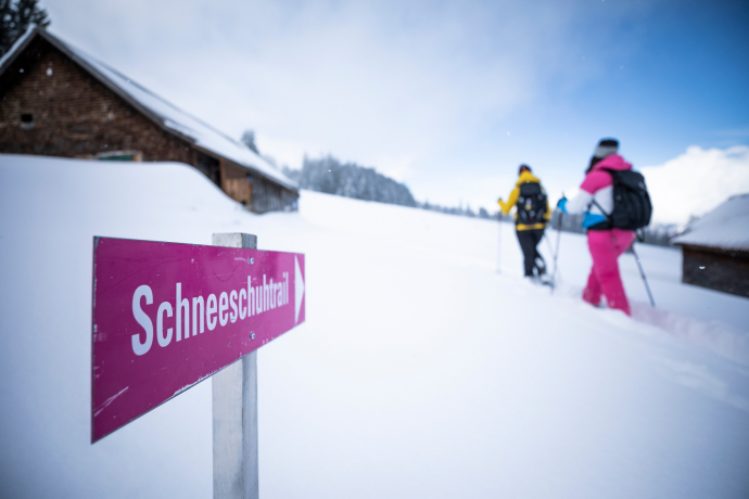 Signposted snowshoe trail Mädems near Schönhalden