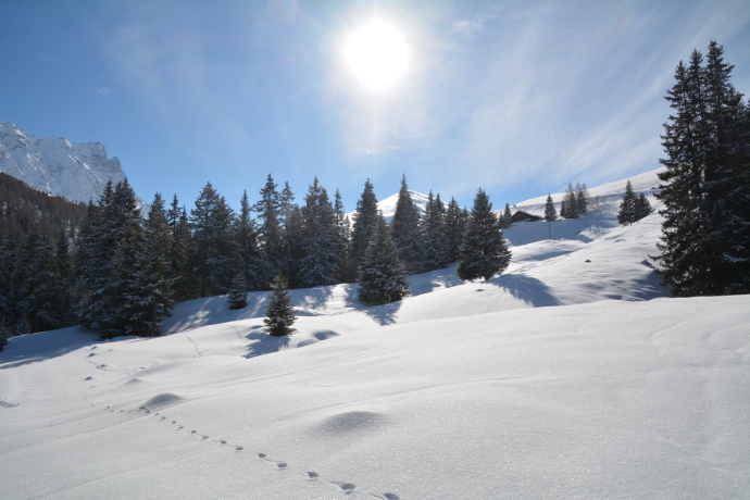 Tigignas - Parnoz - Savognin (oua_55198628_image)