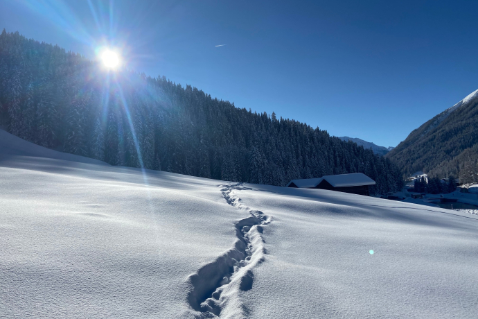 Landwasser-Trail (oua_55299623_image)