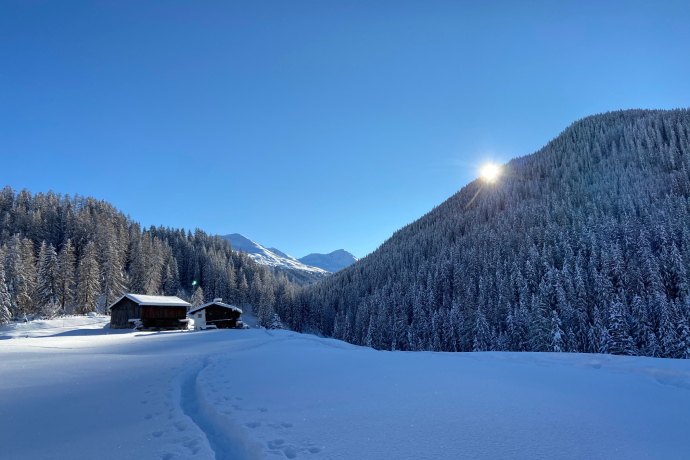 Wildboden-Trail (oua_55299624_image)