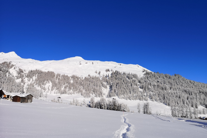 618 Wolfgang-Trail (oua_55299671_image)