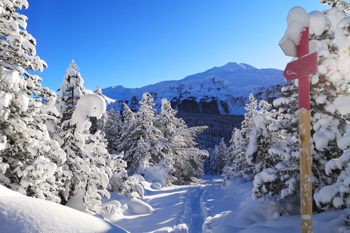 618 Wolfgang-Trail (oua_55299690_image)