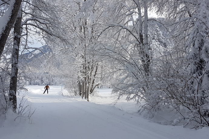 Loipe Filisur - Alvaneu Bad