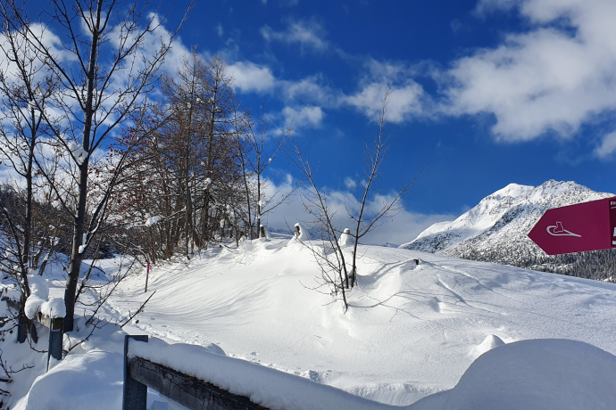 574 Roggi's Trail (oua_55356242_image)