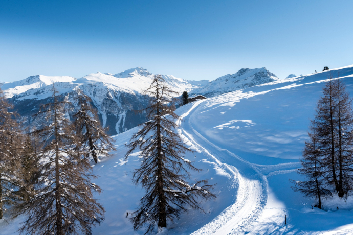 Parcours hivernal/de luge Wergenstein-Dumagns