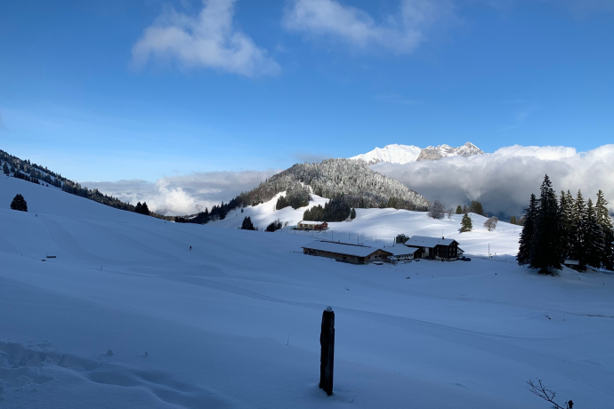 Der Winterwanderweg verläuft oberhalb der Loipe Fürggli