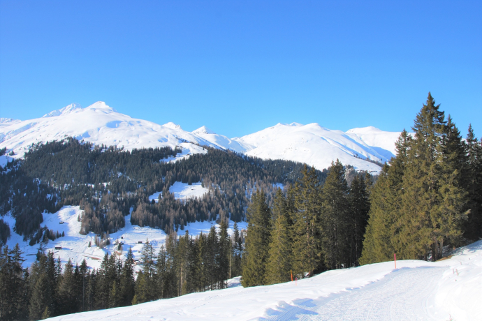 Rinerhorn (oua_56324810_image)