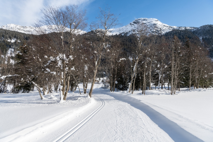 Langlauf_Surses