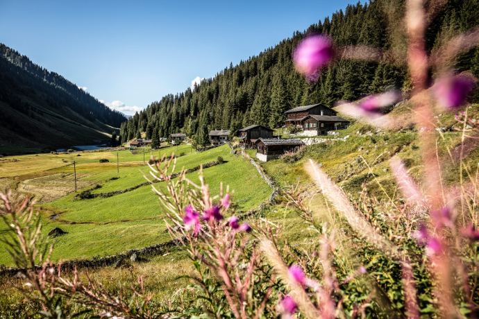 793 Schlappinerjoch (oua_56363654_image)