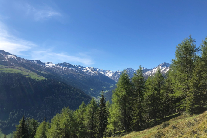 Grüeni Alp Blick ins Sertig