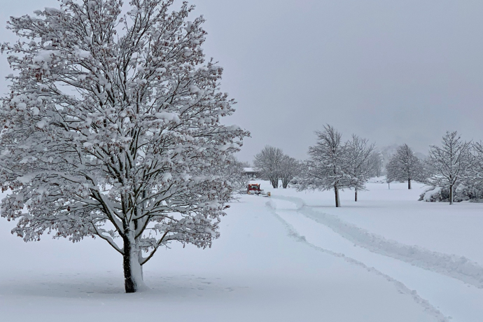 Cross-country ski trail Varsera