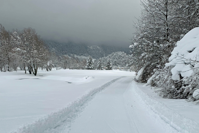Cross-country ski trail Varsera