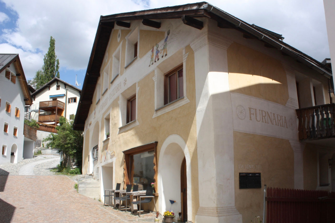 Furnaria pastizaria Schlatter (oua_56636769_image)