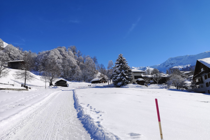 Alpenrösli (oua_56667764_image)