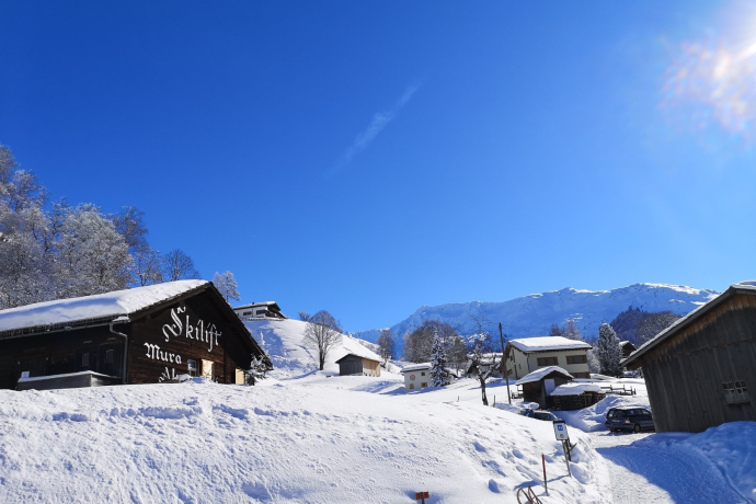 Alpenrösli (oua_56667765_image)