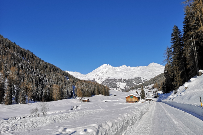 Promenade en calèche Gare de Davos Platz - Teufi (vallée de Dischma) (oua_56667842_image)