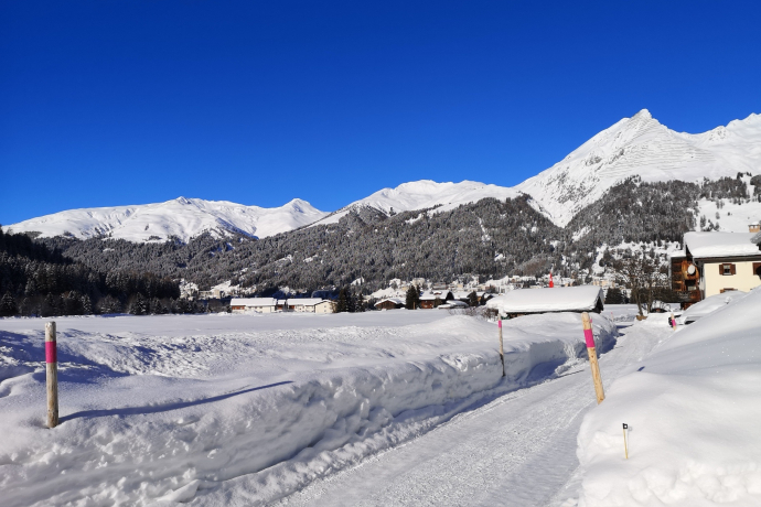 Promenade en calèche Gare de Davos Platz - Teufi (vallée de Dischma) (oua_56667847_image)