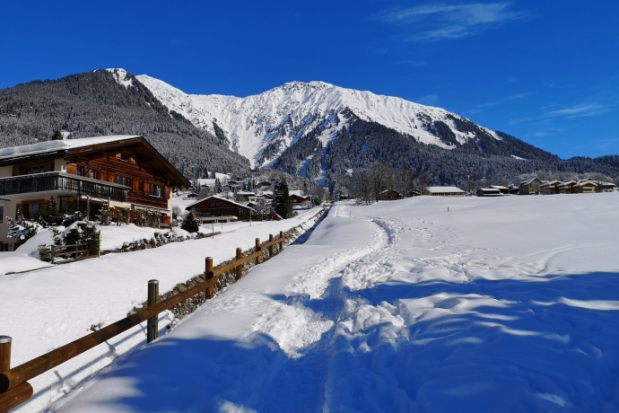 Parcours Alpenrösli 619 (oua_56668042_image)