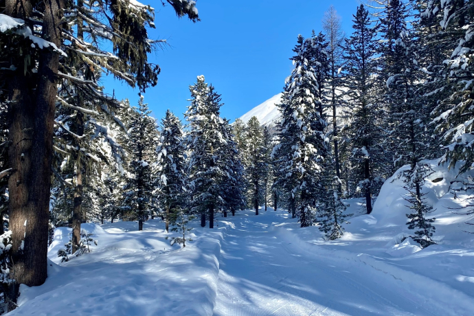 Piste de ski de fond Val Roseg